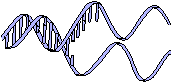 DNA sequence clipart