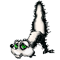 anim-skunk-cute