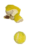 tennis ball in pieces
