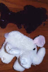 elephant without feet