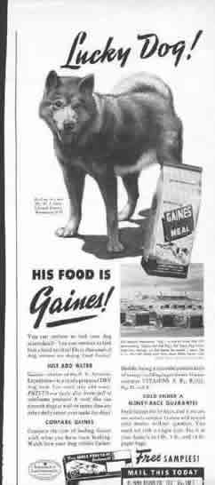Lucky Dog his food is Gaines - old article featuring one of the original Admiral Byrd dogs