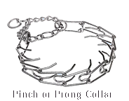 prong or pinch collar - has metal prongs that stick into the dogs neck to control it