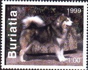 BuriatiaRussia malamute stamp