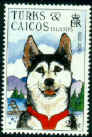 Caribean malamute stamp