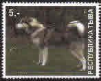 TuvaRussia. malamute stamp