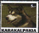 karakalpakia malamute stamp