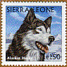 Sierra Leons malamute stamp