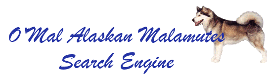 O'Mal Alaskan Malamute Search Engine