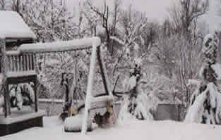 Swingset and trees covered in deep snow