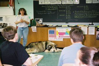 Classroom teaching with Cheekah
