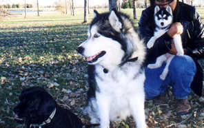 Louis sitting with friend and  a puppy