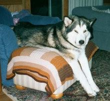 Frosty lying on an ottoman with his feet straight out in front of him like a talk show host