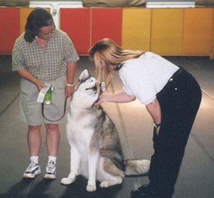 Koani & Di gets a ribbon at an obedience trial - judge congradulating Koani