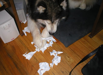 doc shredder 2