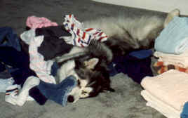 Meanial labor?  I'm so abused, really!!