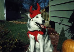 Shelby in her Devil costume